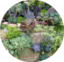 Ausflug in die Gruga